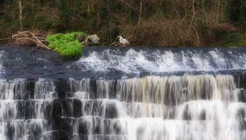 Multi-tiered waterfall cascading over dark rocks with silky water effect and bare trees lining the banks.