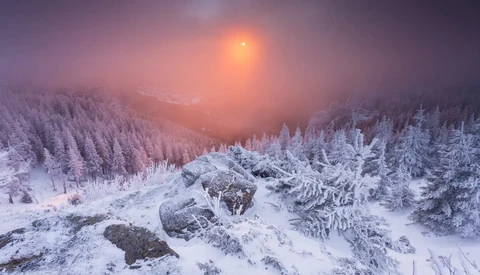 Snow-covered forest landscape at sunset with frost-laden evergreens and rocky outcrops beneath a glowing orange sky.