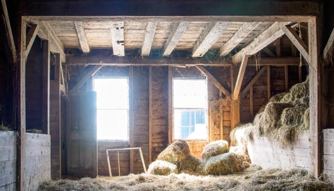 Interior of a rustic wooden barn with bright natural light streaming through open doors, hay bales stacked on the floor.