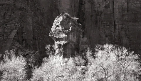 Tall rock formation rising above sparse desert vegetation against towering canyon walls.
