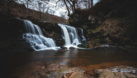 Two cascading waterfalls flowing into a dark pool surrounded by bare trees and moss-covered rocks.