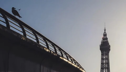 Silhouetted bird perched on a bridge railing with an ornate tower in the background at dusk.