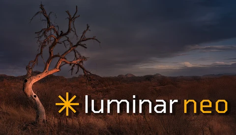 Bare tree illuminated by warm light against dramatic twilight sky in arid landscape.