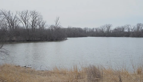 Bare trees line the far shore of a wide, calm lake under overcast winter sky.