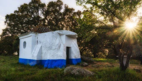 White and blue painted structure in a grassy field with sunlight streaming through trees at sunset.