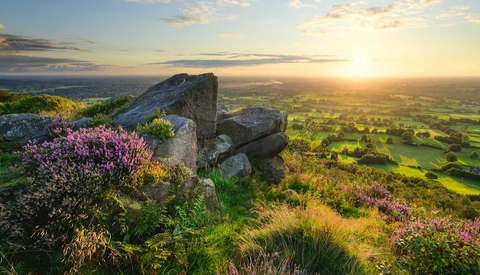 Rocky outcrop with purple heather flowers overlooking a sunlit valley at golden hour.