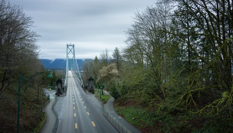 Suspension bridge spanning a forested valley with mountains in the distance under overcast sky.