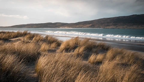 Golden dune grass frames a sweeping beach with breaking waves and dark hills beyond.
