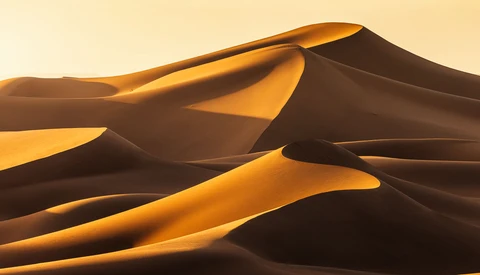 Golden sand dunes with dramatic shadows cast by late afternoon sunlight.