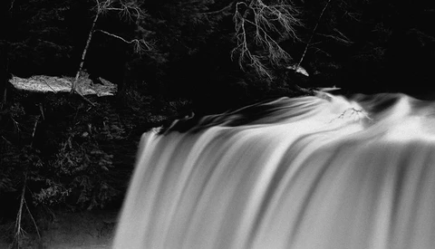Long exposure waterfall photograph with silhouetted trees and branches in black and white.