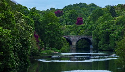 Stone arch bridge spanning a calm river surrounded by dense green foliage and flowering trees.