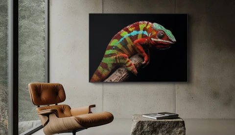 Photograph of a vibrant rainbow chameleon mounted on a branch, displayed on a black wall above a leather lounge chair.