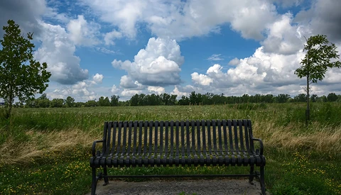 Dark wooden bench facing an open meadow under a blue sky with white clouds.