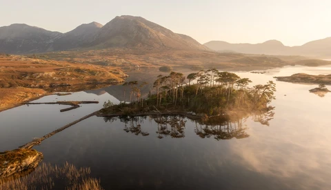 Pine trees on a small peninsula surrounded by still water, with mountains and golden light in the background.