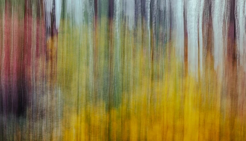 Vertical streaks of red, yellow, green, and gray blend together in a motion blur abstract composition.