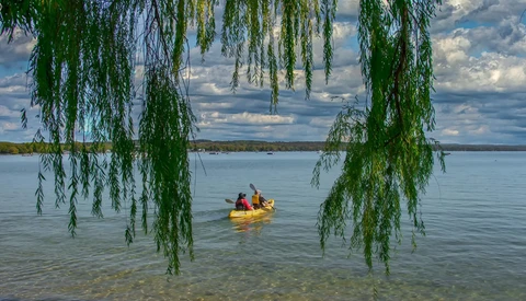 Yellow kayak with two paddlers framed by weeping willow branches hanging over calm water.