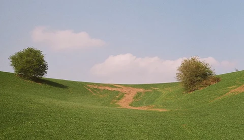 Rolling green hillside with two solitary trees flanking a dirt path under a partly cloudy sky.