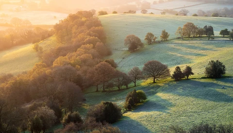 Rolling countryside landscape with frost-covered fields, scattered trees, and golden sunrise light illuminating distant hills.
