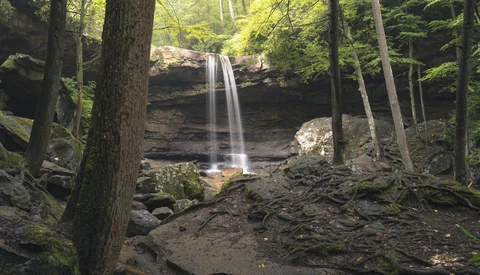 Waterfall cascading from dark rock ledge in dense forest surrounded by tall trees.