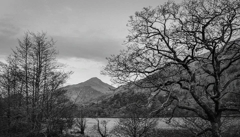 Bare trees frame a calm lake with a distant mountain peak under overcast sky.
