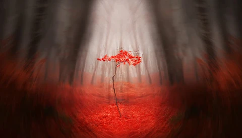 Red tree with vibrant foliage stands alone in a misty forest with motion blur effect.