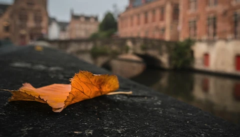 Dried autumn leaf resting on dark stone with blurred historic brick buildings and canal water in background.