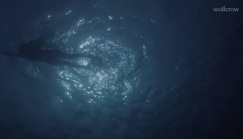 Large shark surrounded by a school of small fish in deep blue ocean water.