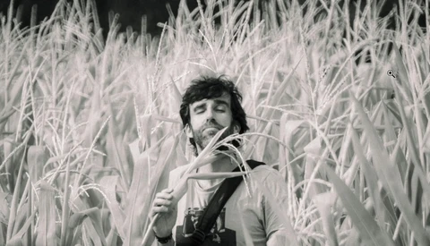 Man in cornfield holding corn stalks, smoking cigarette in black and white photograph.
