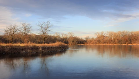 Bare deciduous trees line a calm river at golden hour, their reflections mirrored in still water.