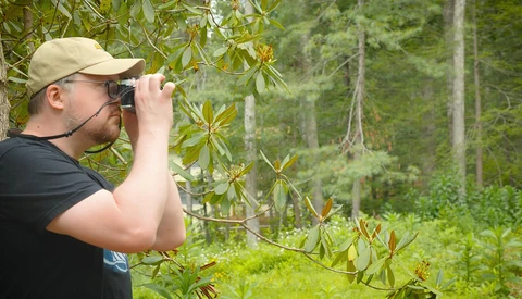 Man with binoculars observing foliage in a dense forest setting.