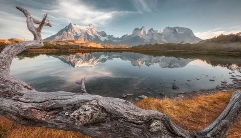 Gnarled driftwood frames a mountain lake with perfect mirror reflections under dramatic sky.