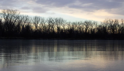 Bare trees reflected in still water at dusk, silhouetted against a cloudy sky.
