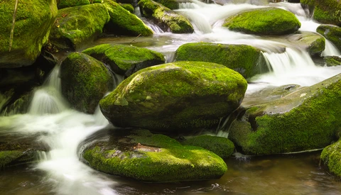 Moss-covered boulders in a flowing stream with smooth water blur effect.