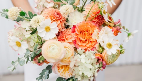 Person holding a bridal bouquet with coral dahlias, peach ranunculus, white cosmos, and eucalyptus foliage.