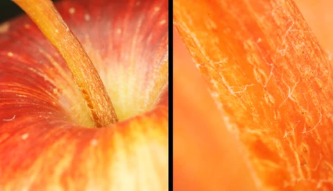 Macro split-screen comparison of fresh grapefruit halves showing texture and cross-section detail.
