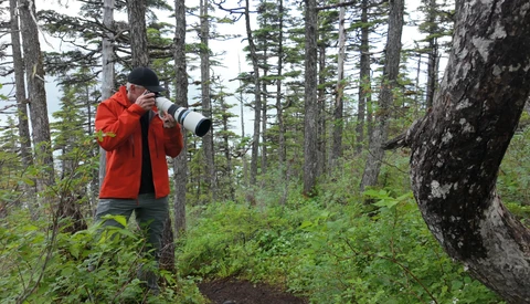 Photographer in red jacket holding telephoto lens in coniferous forest with dense green understory.