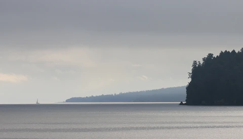 Calm bay with forested shoreline and distant sailboat under overcast sky.