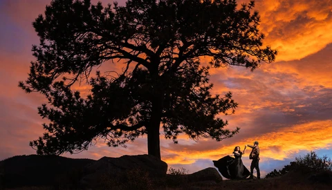 Silhouetted tree and two figures against a dramatic golden and purple sunset sky.