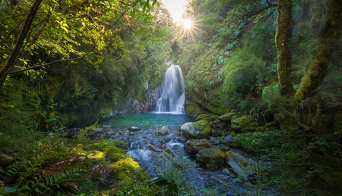 Waterfall cascading into a turquoise pool surrounded by moss-covered rocks and dense forest.