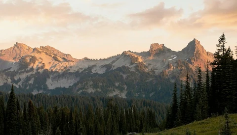 Alpine peaks bathed in golden hour light rise above a dense coniferous forest in a mountain valley.