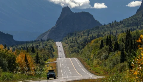 Straight mountain road stretching toward a dramatic peak, lined with coniferous forest and golden wildflowers under blue sky.