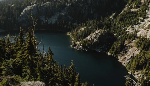 Alpine lake surrounded by dense evergreen forest and rocky granite peaks under bright daylight.