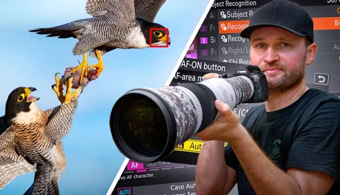 Photographer holding telephoto lens with peregrine falcons in flight above against blue sky.