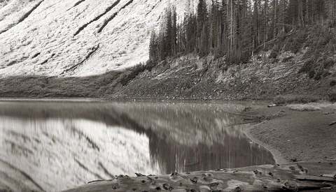 Snow-covered mountainside with coniferous forest reflected in still water, driftwood logs in foreground.