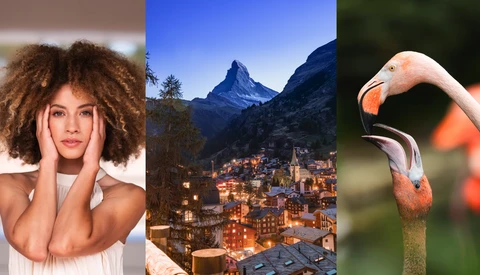 Portrait of woman with voluminous curly hair, alpine mountain town at dusk, and close-up of flamingo's head and neck.