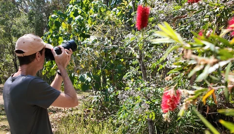 Photographer with camera and telephoto lens capturing red flowers in a garden setting.
