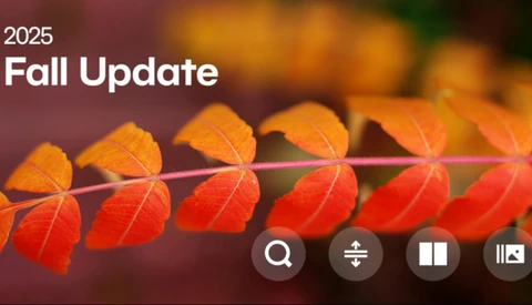 Screenshot of a 2025 Fall Update interface showing a gradient row of autumn leaves transitioning from yellow-orange to deep red.
