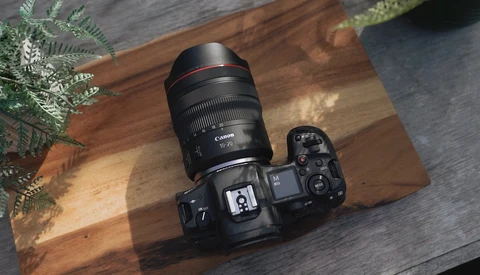 Canon mirrorless camera with RF-mount lens on wooden surface with fern foliage.