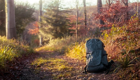 Blue backpack sitting on a forest trail surrounded by autumn foliage and dappled sunlight.