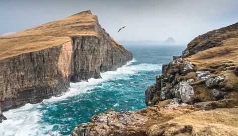 Dramatic basalt sea cliffs with turquoise ocean waves and a bird in flight overhead.
